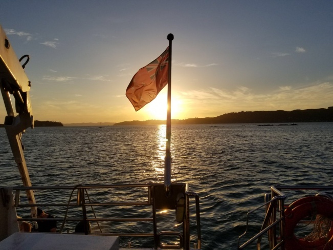 Flag shot while cruising ( Auckland NZ )