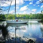 Corps Of Engineers Park- Coffeeville AL