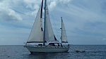 Tamasine Westerly Conway 36
