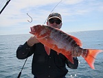 A beautiful Chinaman Fish - good for a photo but they are poisonous so he went back in.