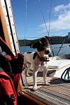 My other First Mate