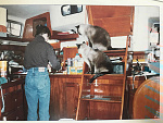 Liveaboard in London. Cats demand treats.