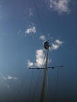 Working at the top of the mast