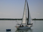 Black Rose sailing near Oxford Md light winds.