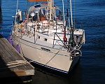 PEREGRINA, just re-launched at Dion's in Salem.   
- a Stevens Custom 40