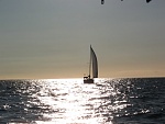 Sailing in the Bay of Fundy
