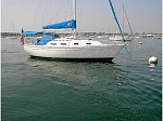 First Sailboat - Pearson 303 Sloop