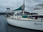 Test sail before we bought her.