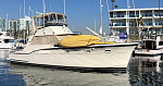 Hatteras 45C