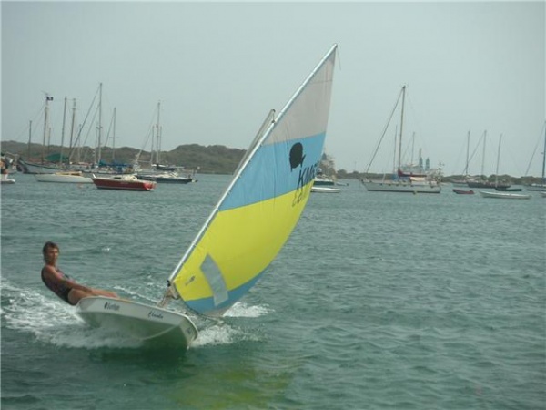 sunfish funfish