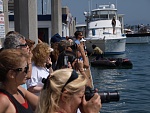 Onlookers from the fuel dock across the channel