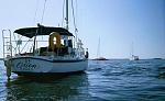 Picnic Island, just off the "miserable mile" between Sanibel Island and Pine Island.